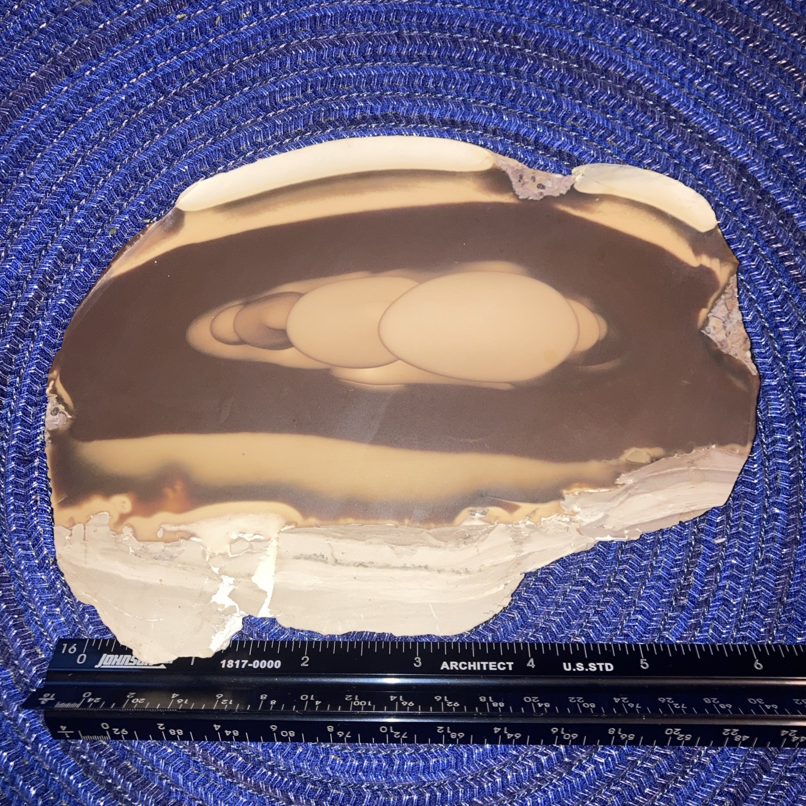 Bruneau Jasper Large Slab-Brown Tones With Cream Edges-Beautiful Orbs 6.1oz/173g