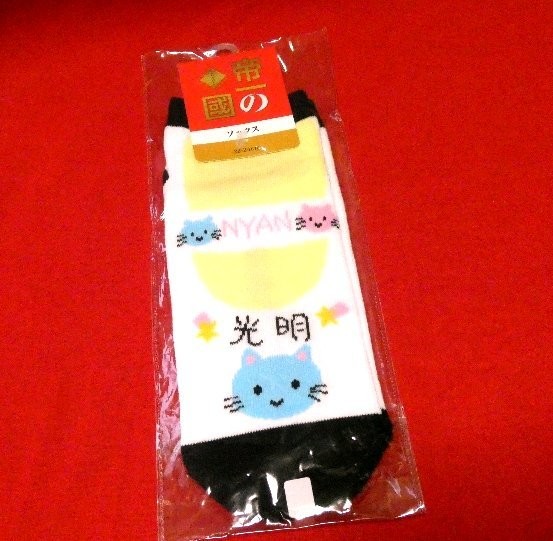 TeIIchi Kuni socks 2224cm