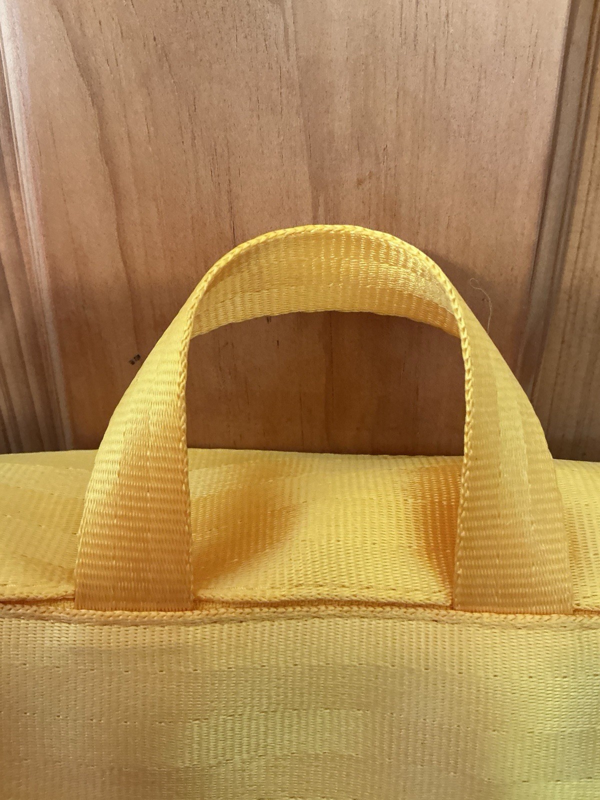 Harvey's Seatbelt Disney Pluto Foldover Crossbody NEW