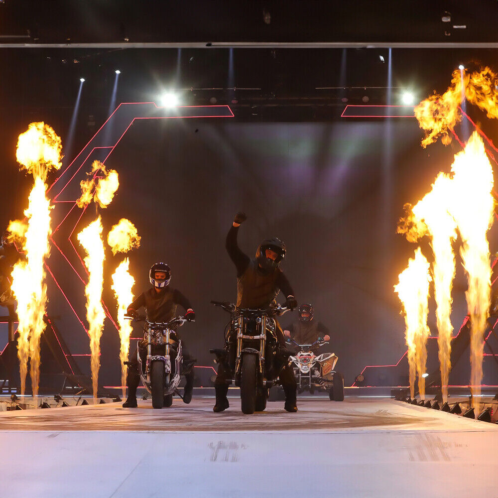 2PCS Fire Machine Stage Effect Dmx Flame Thrower Flame Projector DJ Halloween