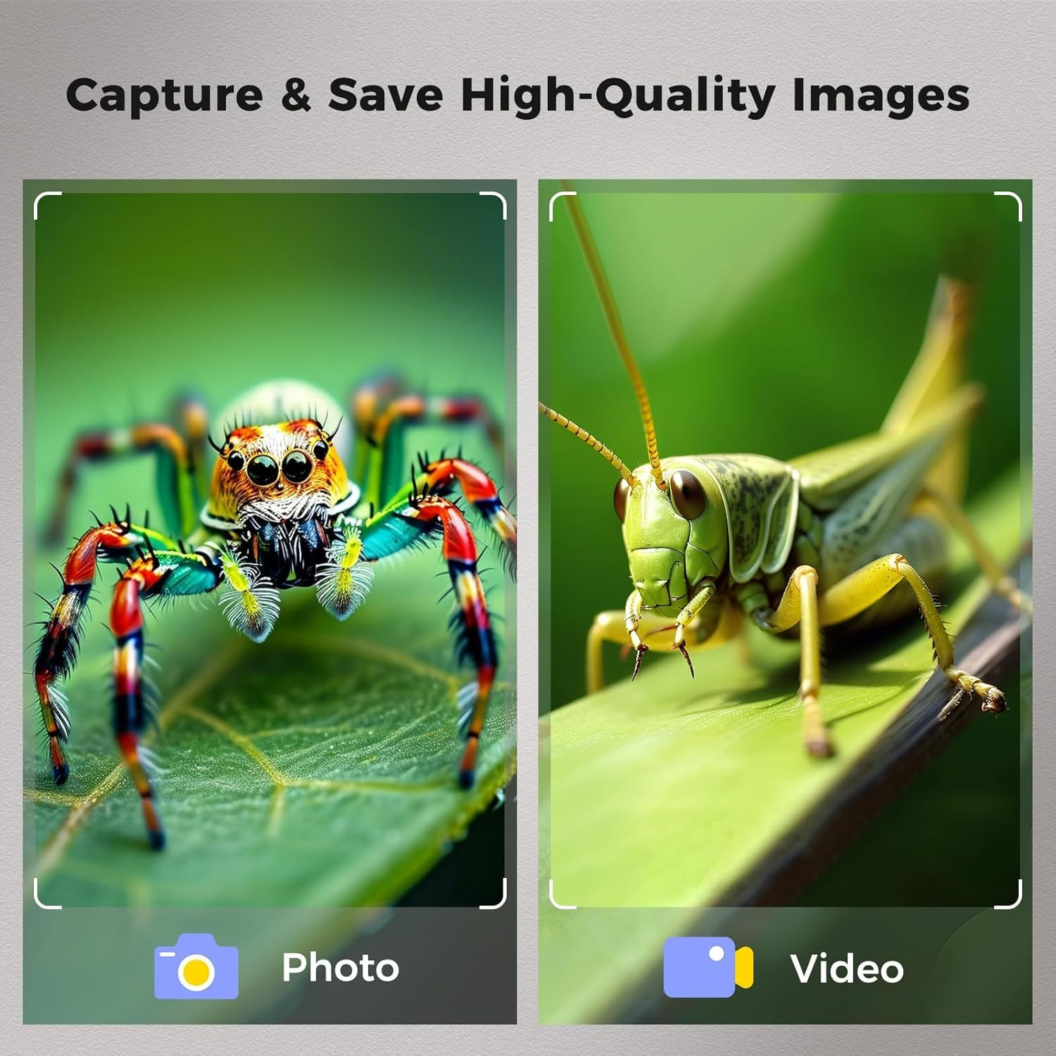 4.3 Inch LCD Digital Coin Microscope, 1000X USB Magnifier with 8 Adjustable LED