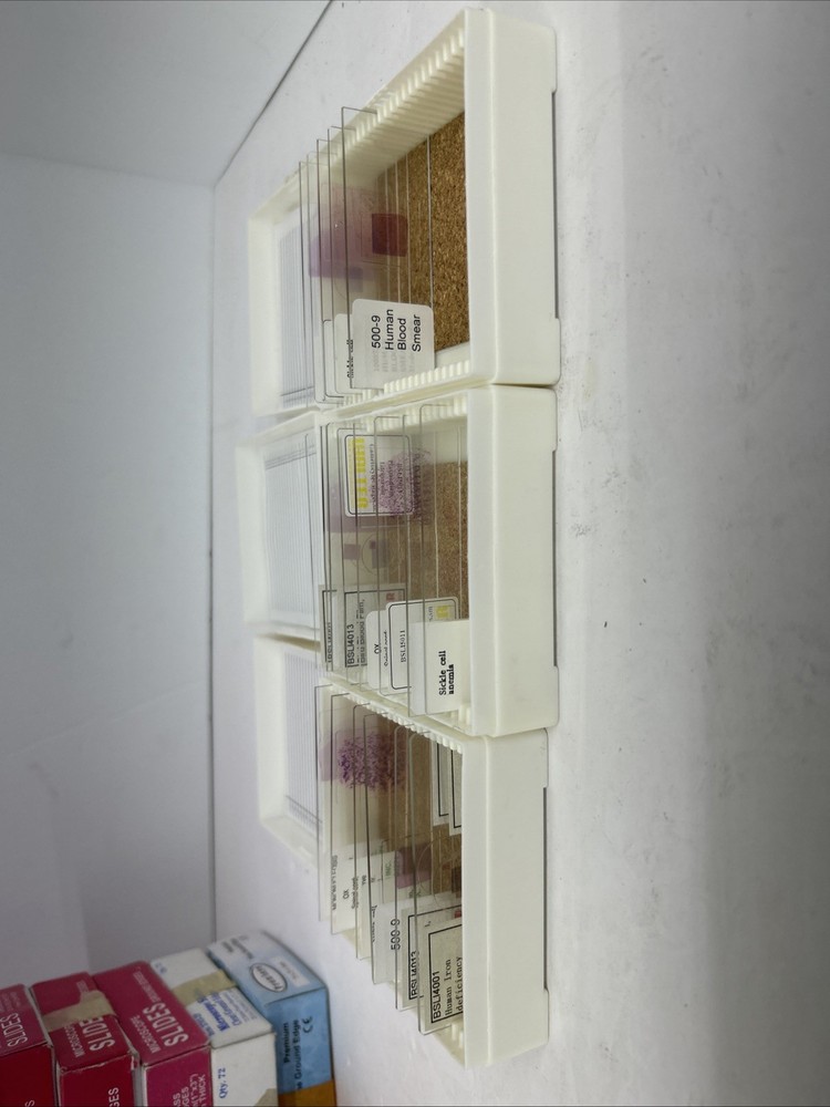 Assorted Microscope Slides And Lenses