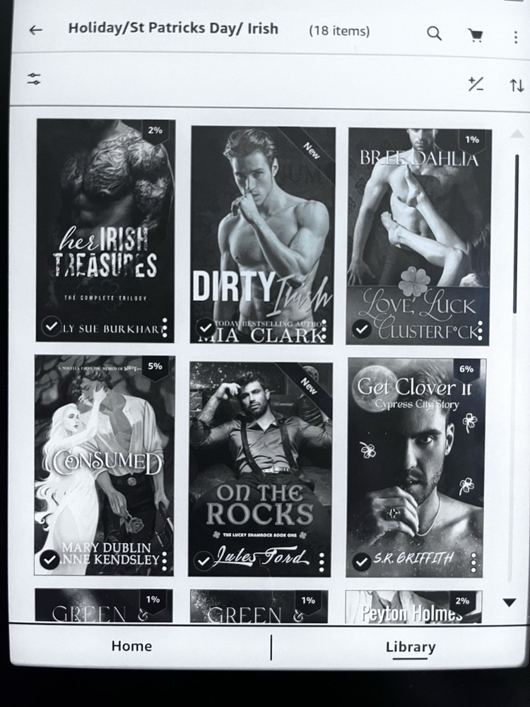 Amazon Kindle eBook Reader 32GB with books bundle