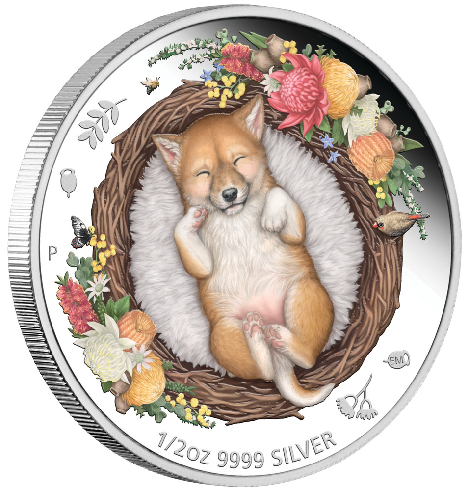 DREAMING DOWN UNDER Dingo 2021 1/2oz .9999 SILVER PROOF COLOURED COIN