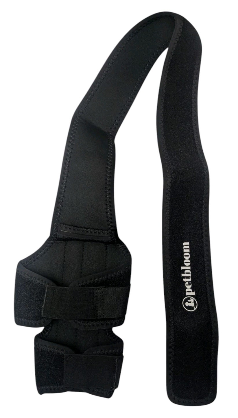 Dog Knee Brace Adjustable Neoprene Support for Front Or Hind Leg Size S NEW