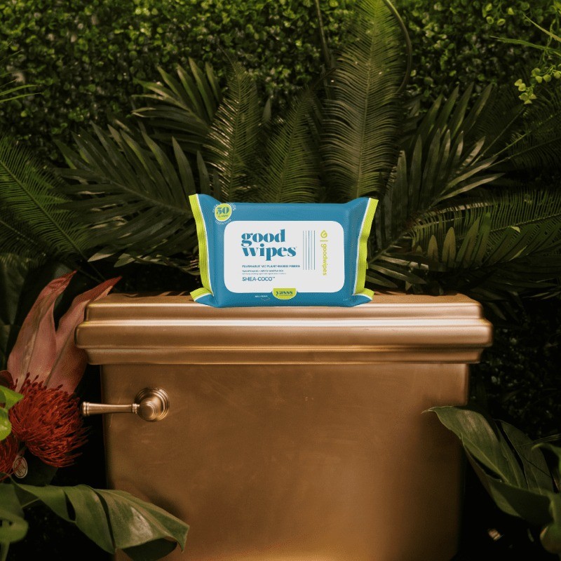 Flushable Butt Wipes, Shea-Coco Scented, 3 Pack, 150 Total Wipes