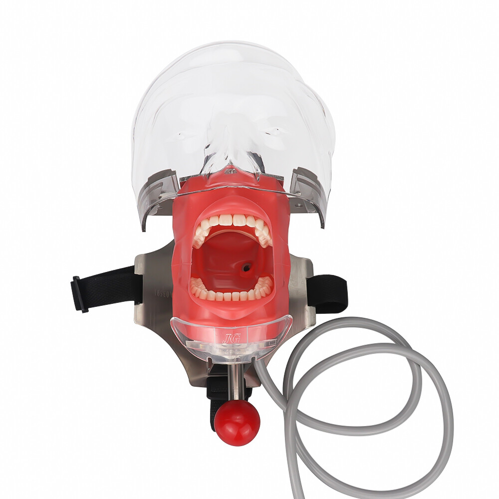 Dental Manual Manikin Simulator Phantom Head Model with 28pcs Replacement Teeth
