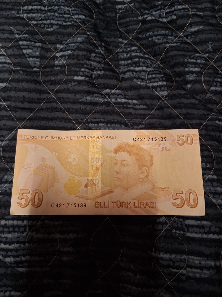 Turkish Lira Banknotes 265 Lira