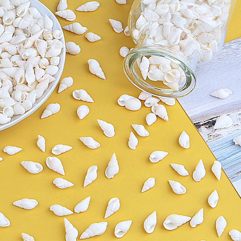 Approx 700Pcs Small White Clam Cay Seashells Natural Tiny Sea Shell Mini Spir...