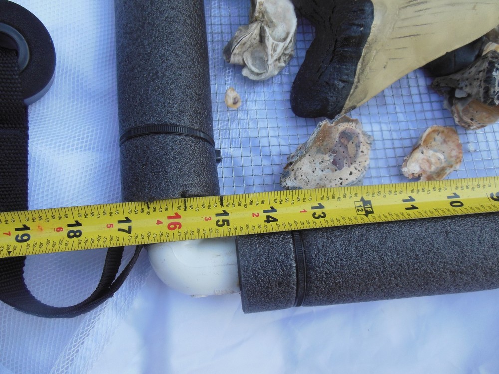 Floating Sifter Shark teeth/ Fossils/ Gems Small
