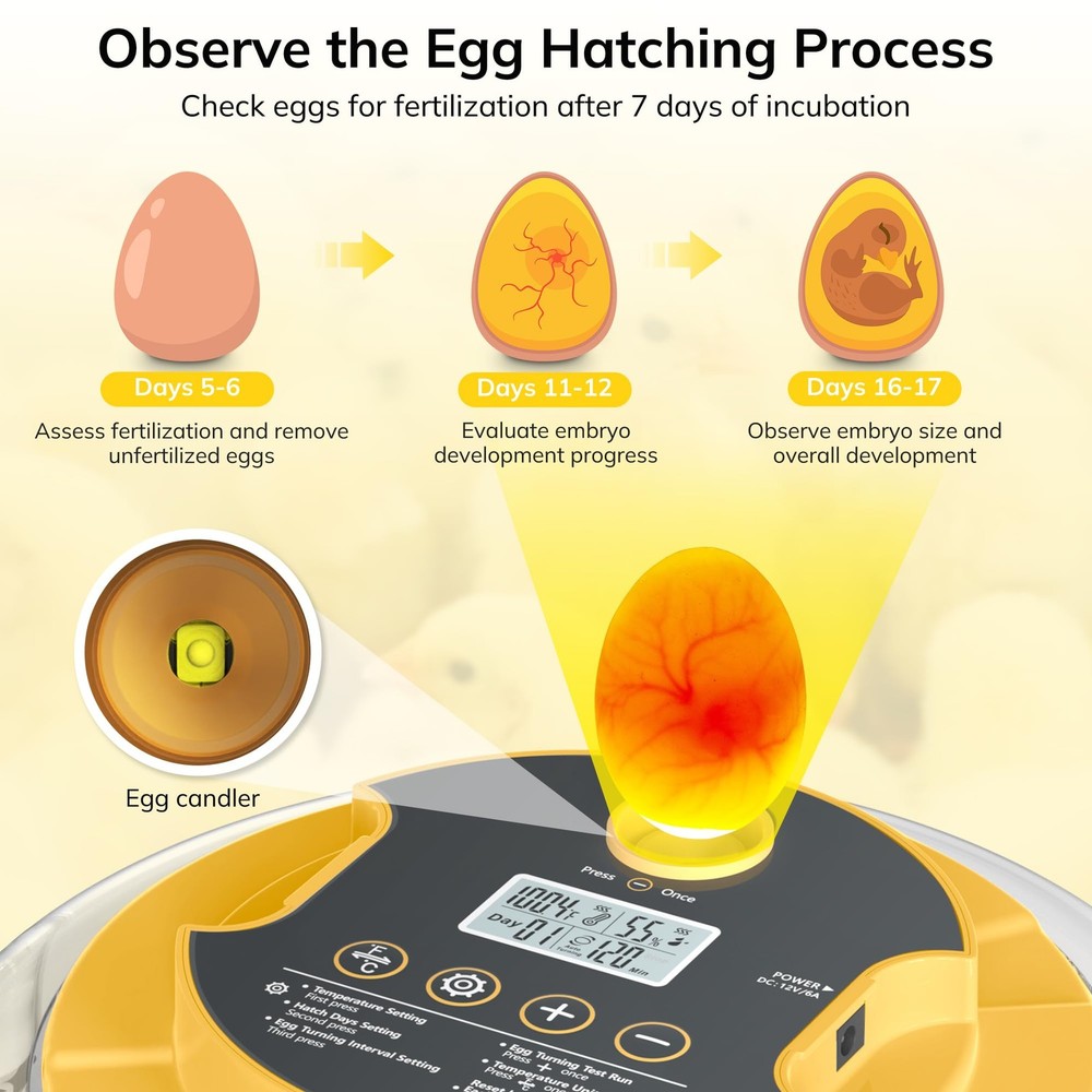 Automatic 18-Egg Incubator with Humidity Control and Temperature Display