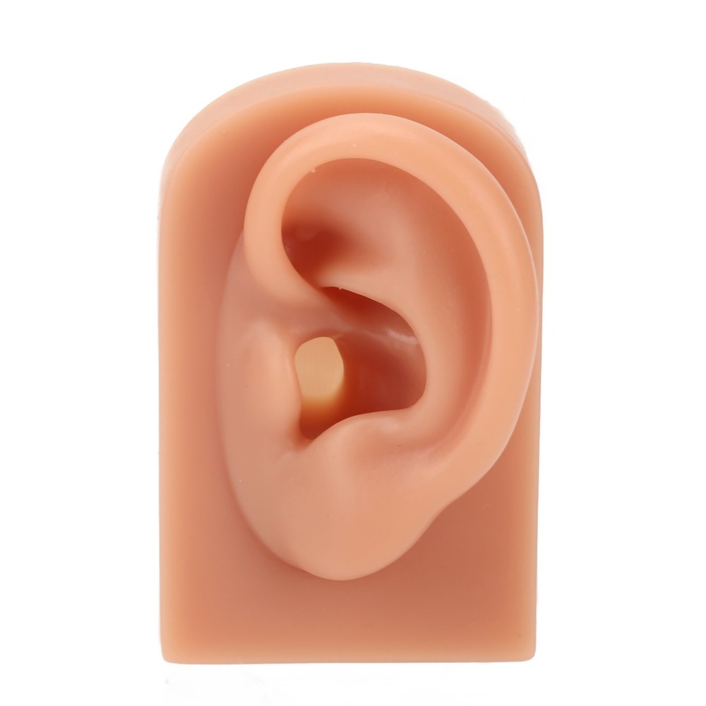 Professional Piercing Practice Ear Model For Earrings Display NEW↑