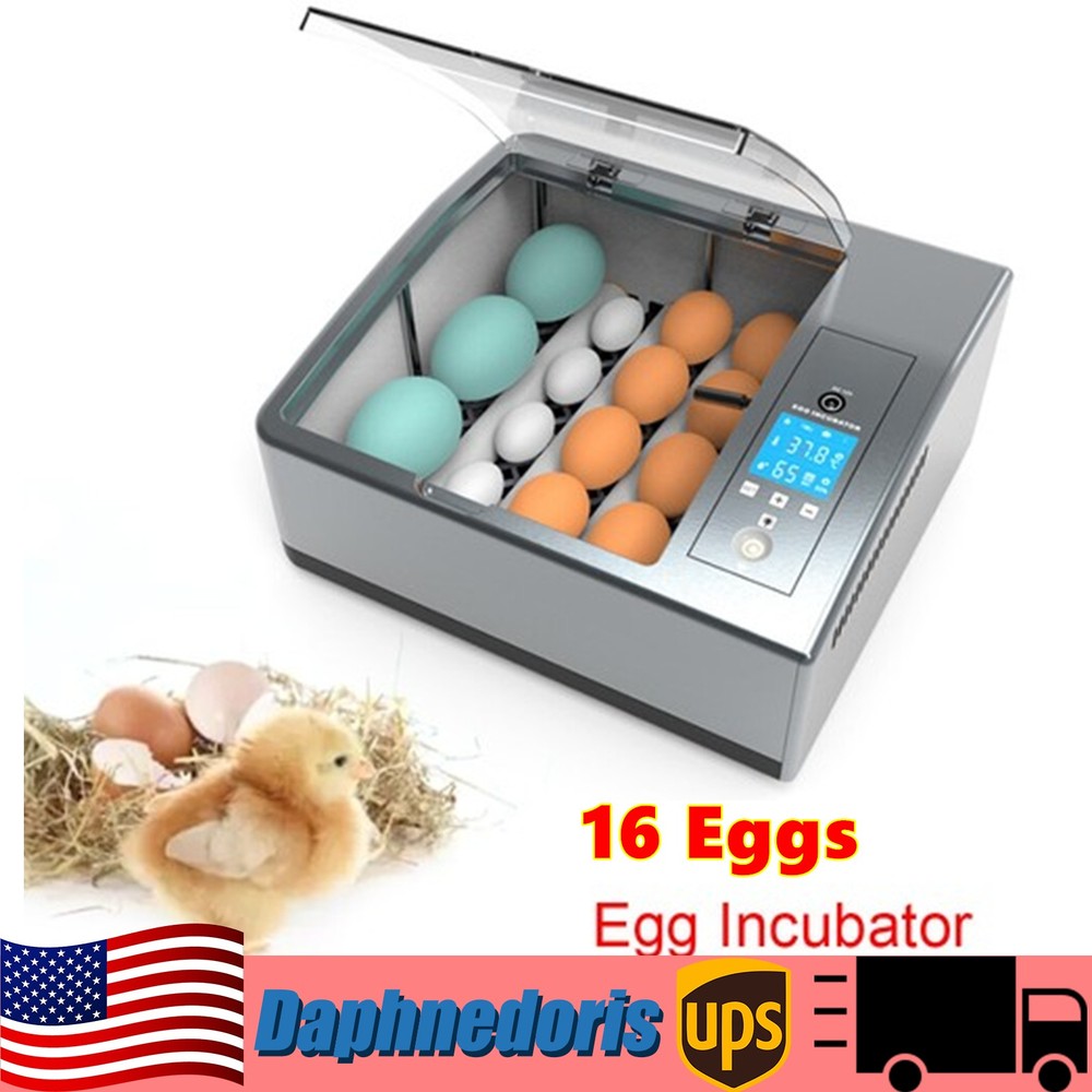 ✅16 Eggs Egg Incubator for Hatching Egg Full Automatic Turning Duck Chicken Egg