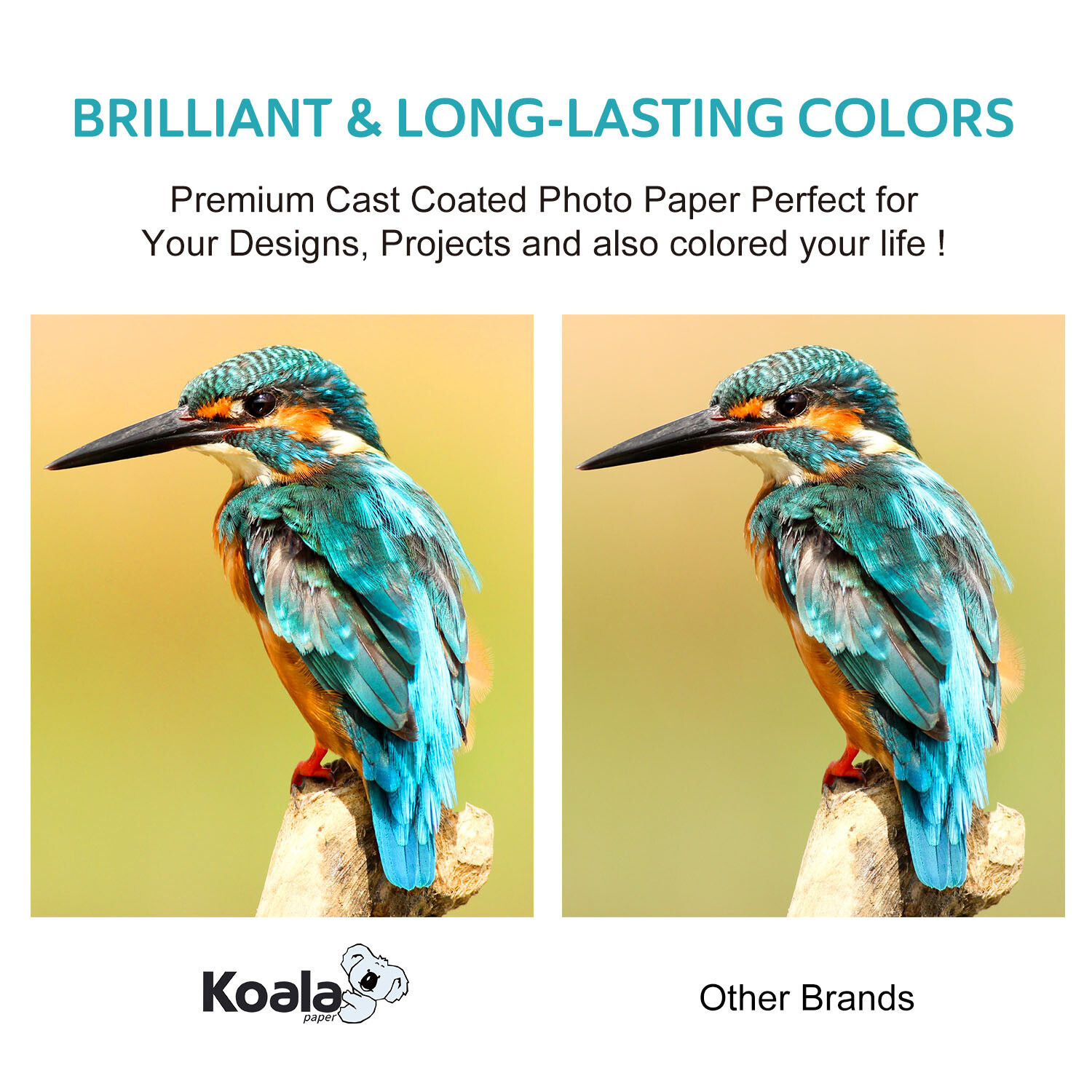 Koala Ultra Premium Photo Paper Satin 11x17 100 Sheet Semi-gloss Inkjet Printer