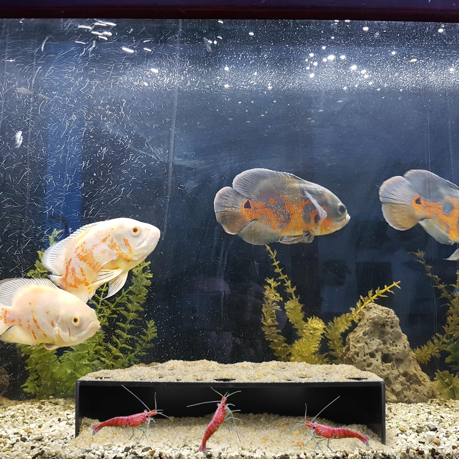 2 Pcs Shrimp Hides for Aquarium, Shrimp Breeding Caves Hideout Shelters for P...