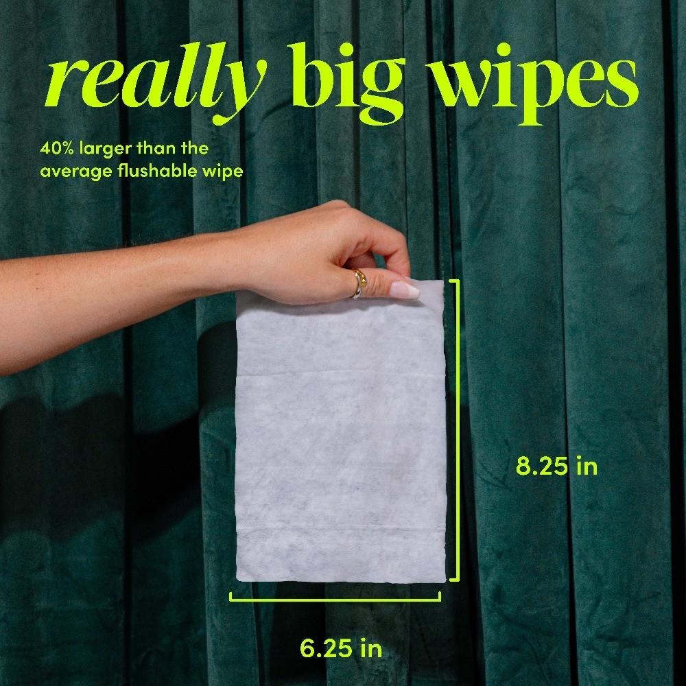 Flushable Butt Wipes, Shea-Coco Scented, 3 Pack, 150 Total Wipes