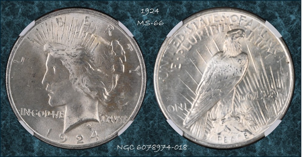 1924 Peace Dollar MS-66 NGC VIDEO