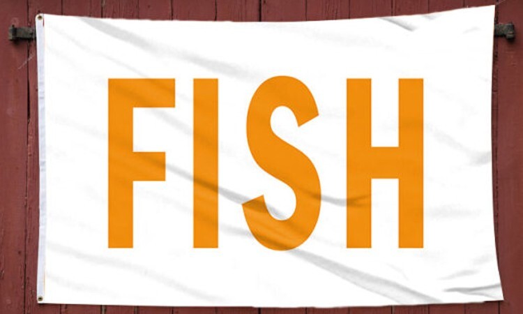 Stellar Fishing Fish 3' x 5' Polyester Flag