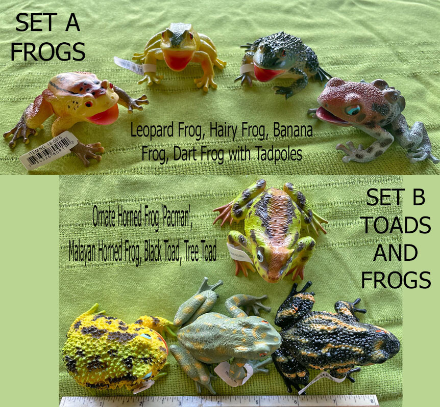 Exotic Frogs and Toads - Hollow Vinyl