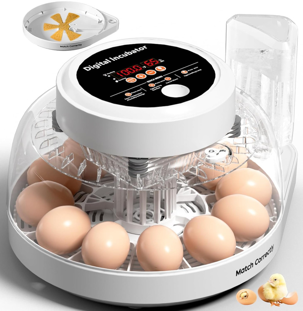 Upgraded Incubators for Hatching Eggs, 12 Egg Incubator with Automatic Egg Turni