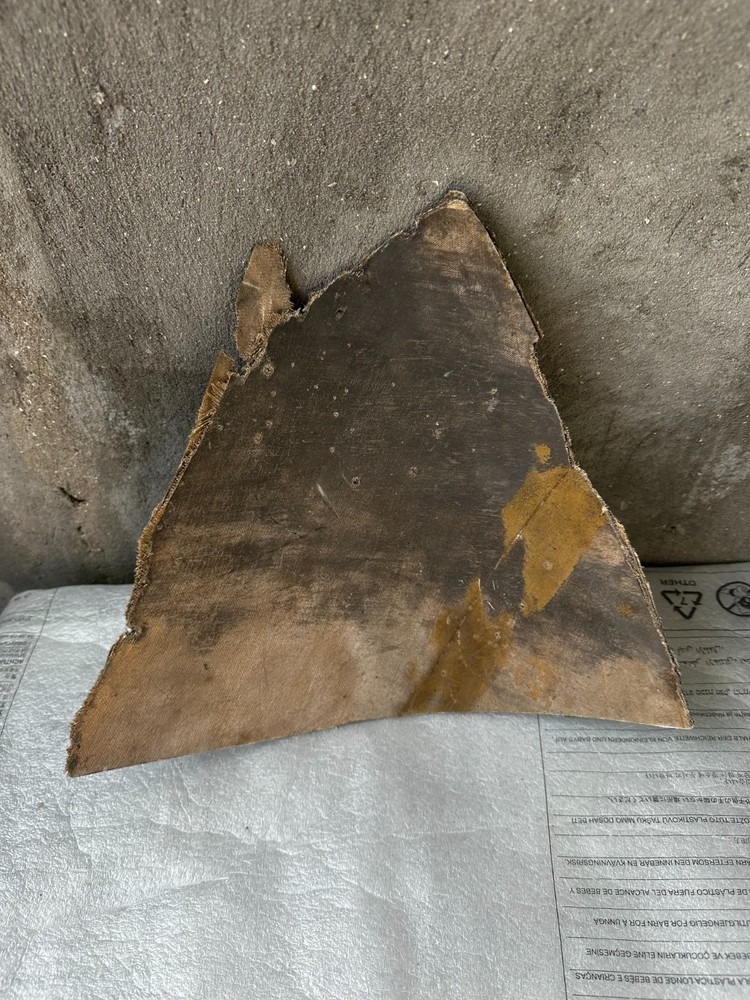 Nose section ALLIGATOR