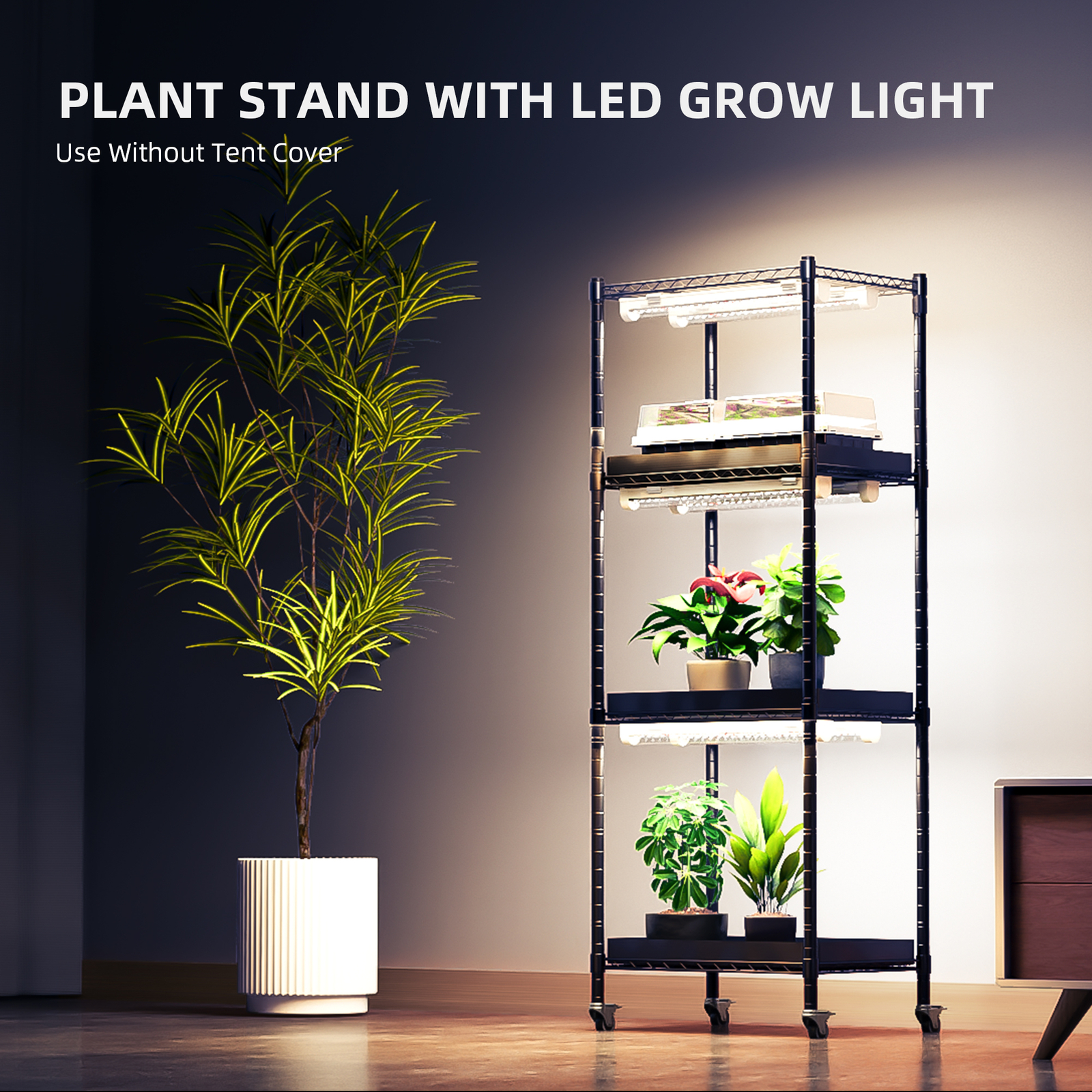 Spider Farmer plant stand with grow lights and tent for indoor plants