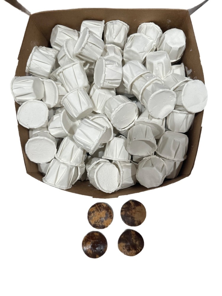 CAJA DE CASCARILLA 100 4 CHAMALONGOS  RELIGION  IFA Eggshell Powder