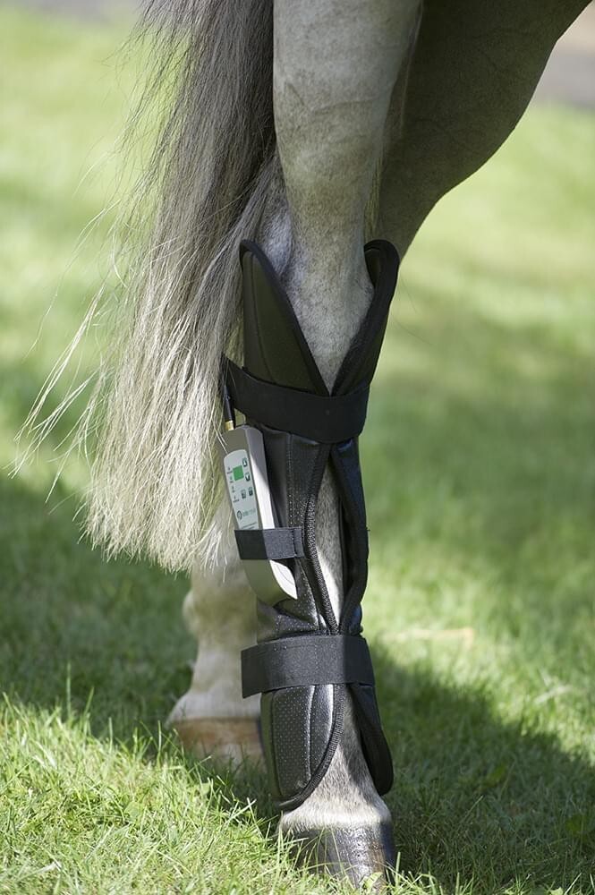 PEMF Therapy Boot / Leg Wrap for Horses (HIND) by Oxford Medical Instruments