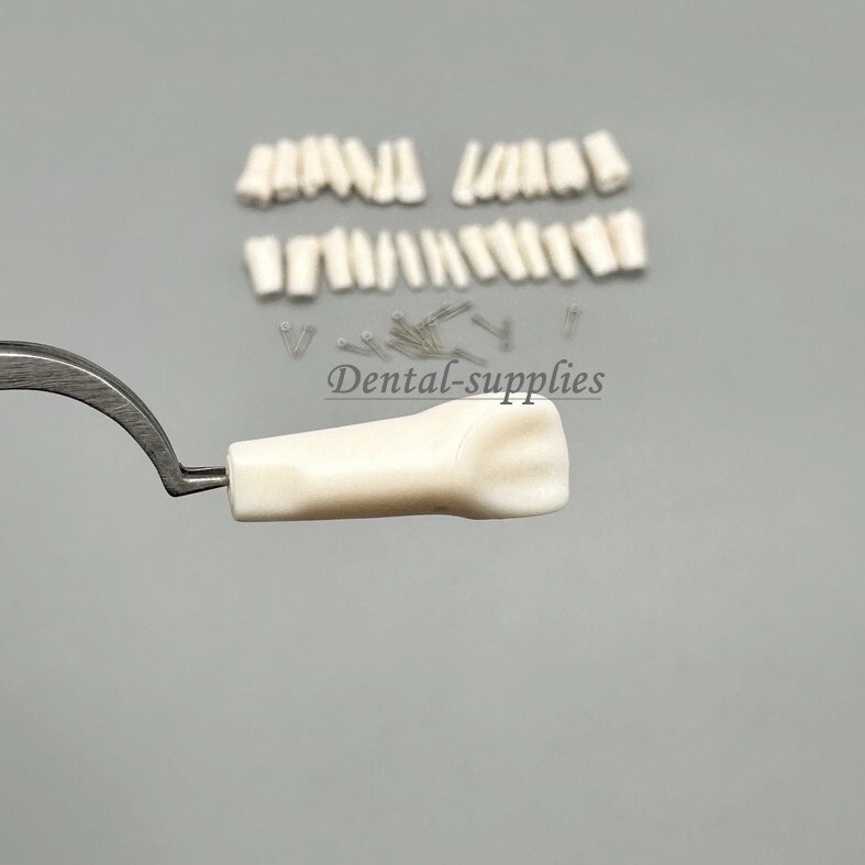 Dental Study Teeth Models Technician Practice Preparation Removable Tooth Nissin