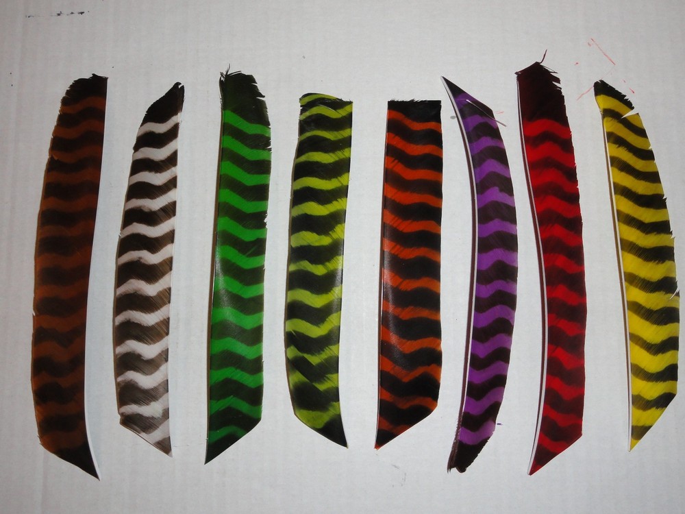TrueFlight Full Length Barred Feathers - 12 Pack, RW or LW