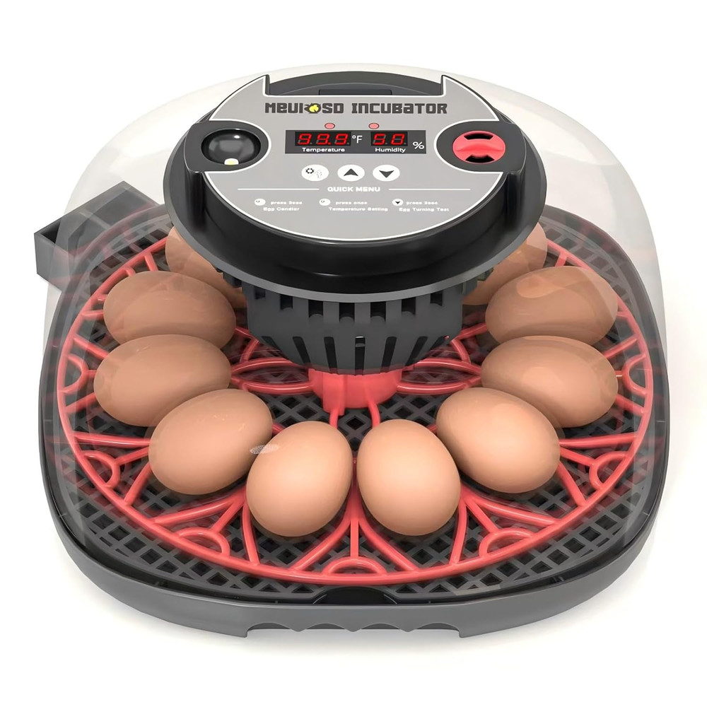 Automatic 12-24 Egg Incubator with Humidity Display & Egg Candler