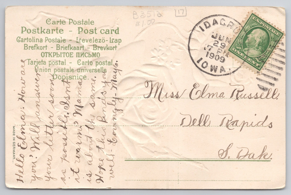 Yellow Roses c1909 Postcard