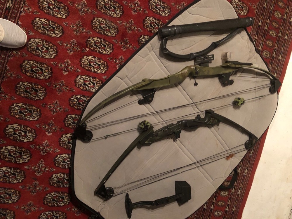 carry case and 2 compound bows