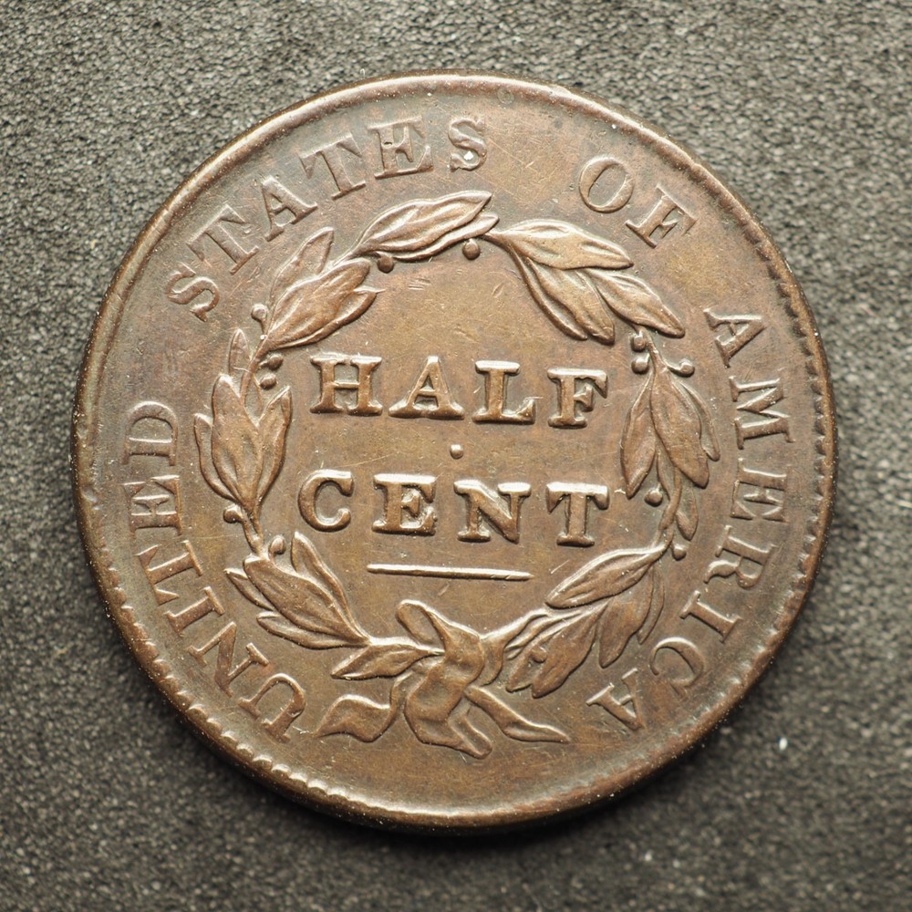 1828 ** ** CLASSIC HEADHALF CENT* * FREE SHIPPING C0117