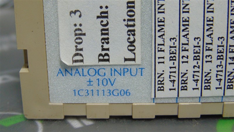 USED Westinghouse Emerson 1C31113G06 Ovation Analog Input Module