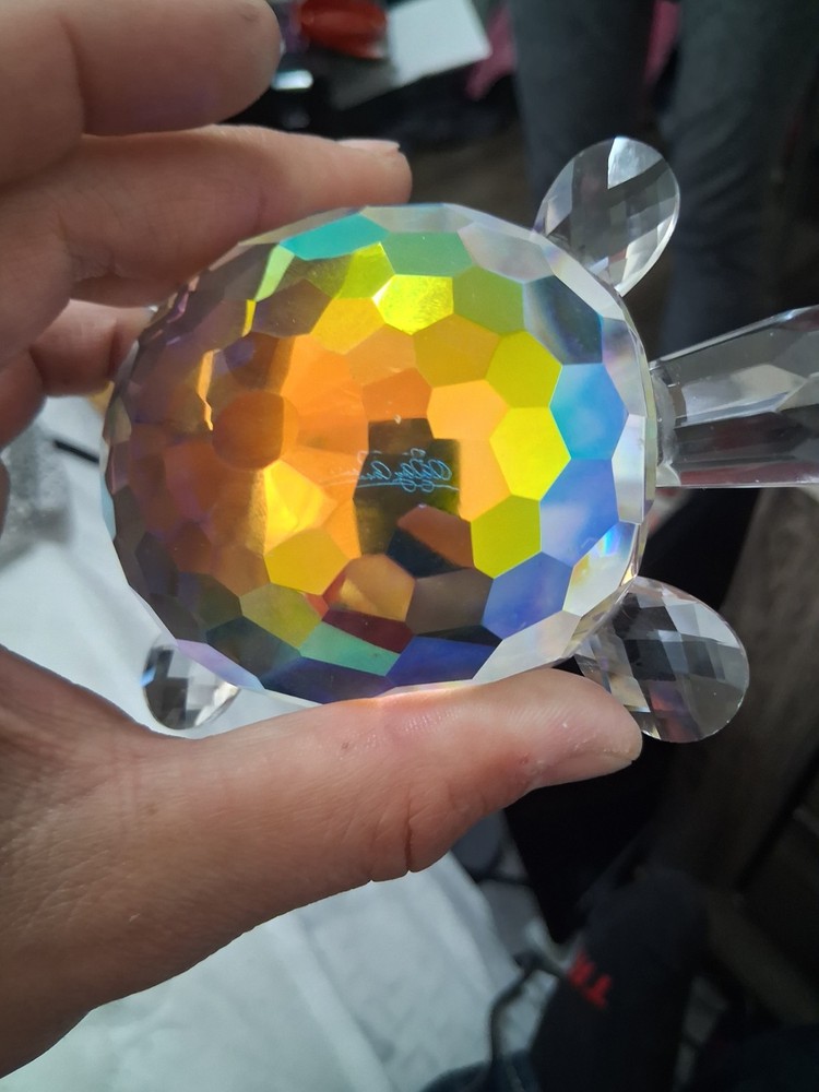 Real Crystal Turtle