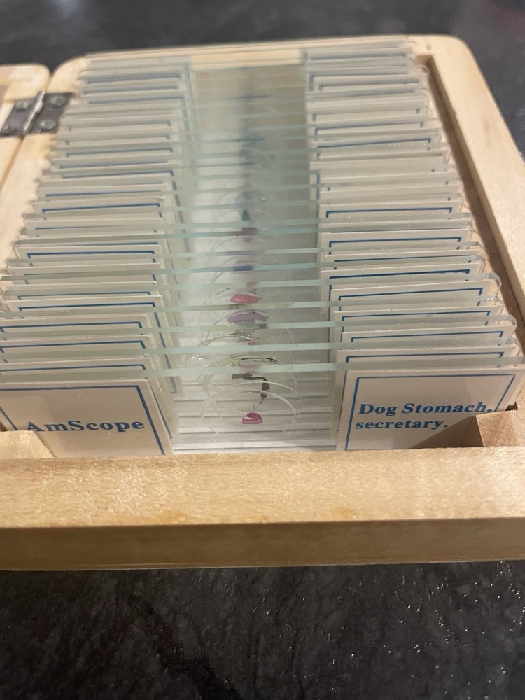 AmScope 25 Prepared Biology Microscope Slides