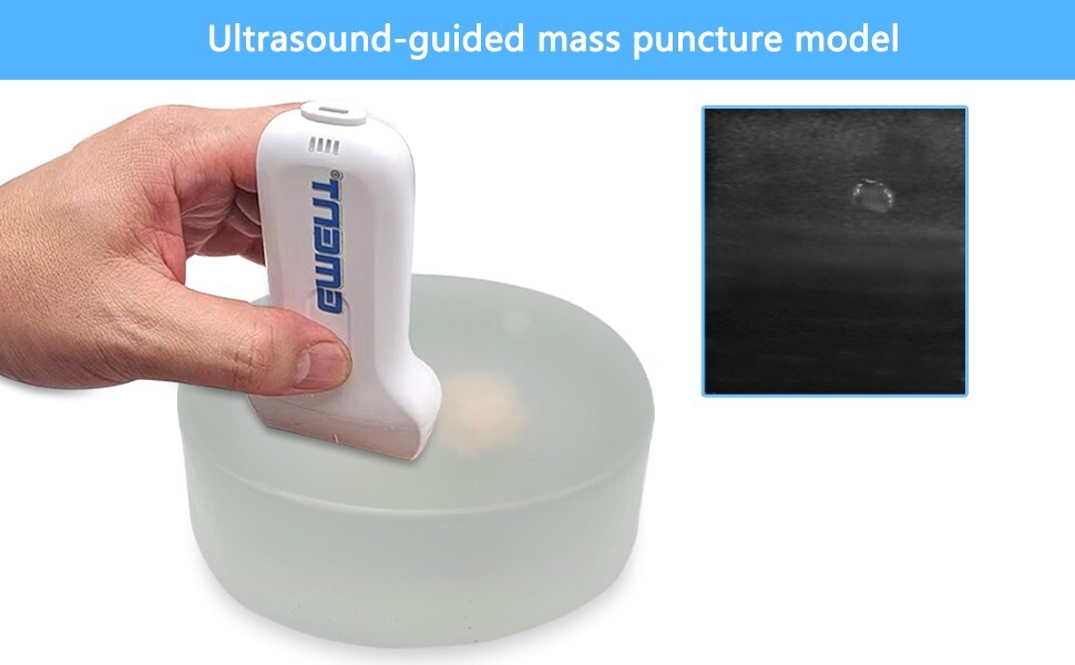 1PCS Ultrasound Guided Mass Puncture Models, Beginner's Puncture Operation Train