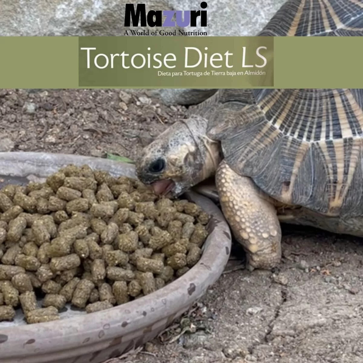 Mazuri Tortoise Diet LS (4oz - 4 lbs). Sealed from Bulk-Aldabra,Sulcate,and more