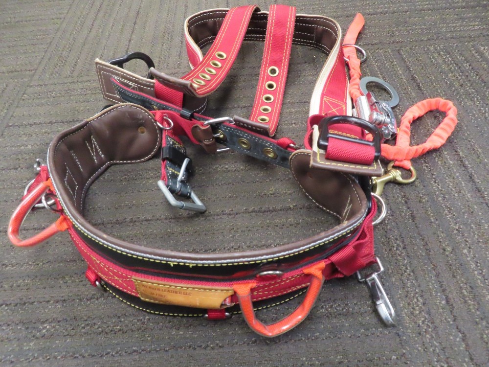 Notch Gecko - Tree Spikes -