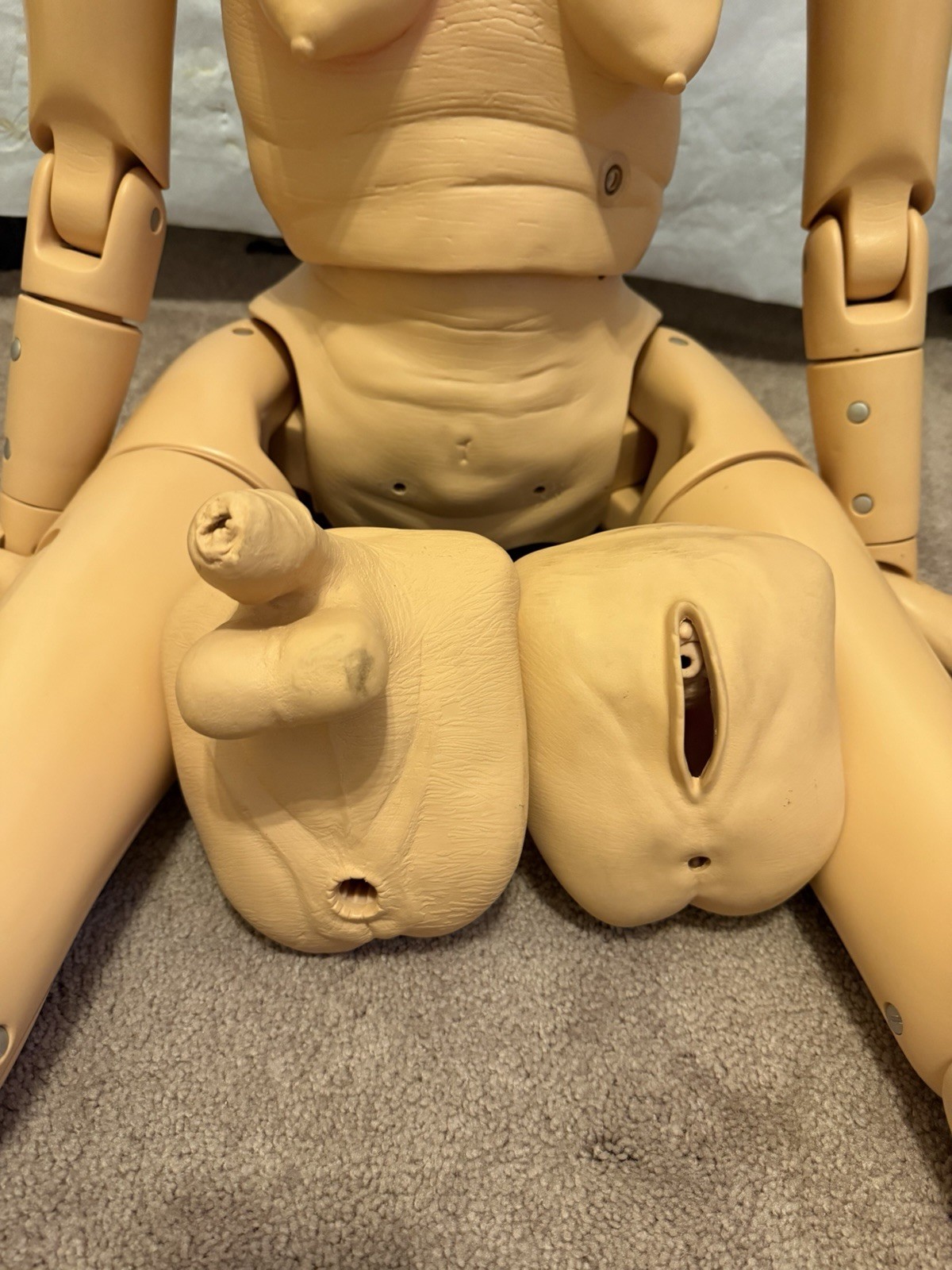 Nasco Lifeform Nursing Skills Manikin Mannequin Geriatric Simulator Medical