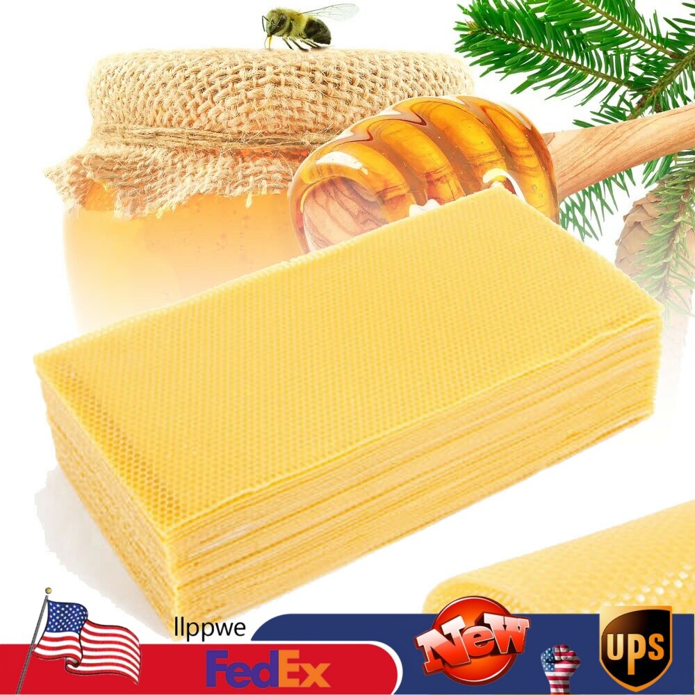 30 Honeycomb Sheets Bee Wax Foundation Beehive Frames for Beekeeping Brood Box