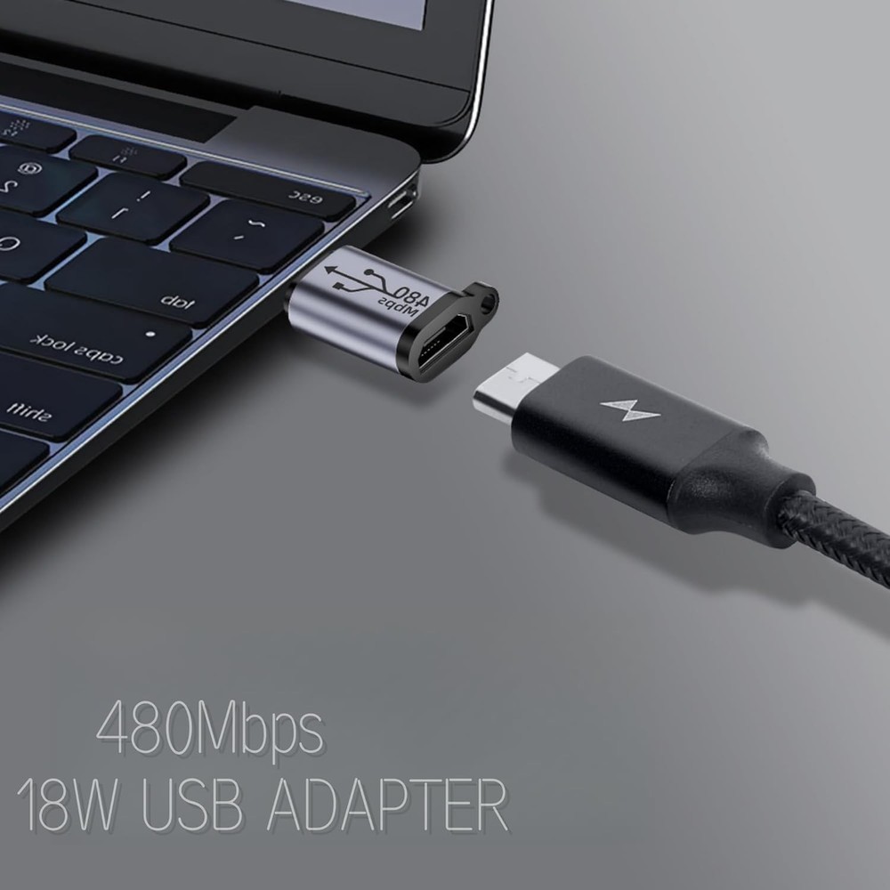 WITRN USB C/Lighting to Micro Adapter, Type C/Micro Metallic Gray