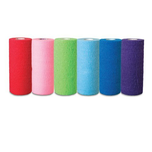 CoFlex 2" Cohesive bandage Flexible Wrap (PetFlex/Vetwrap) ASSORTED, 4-pack