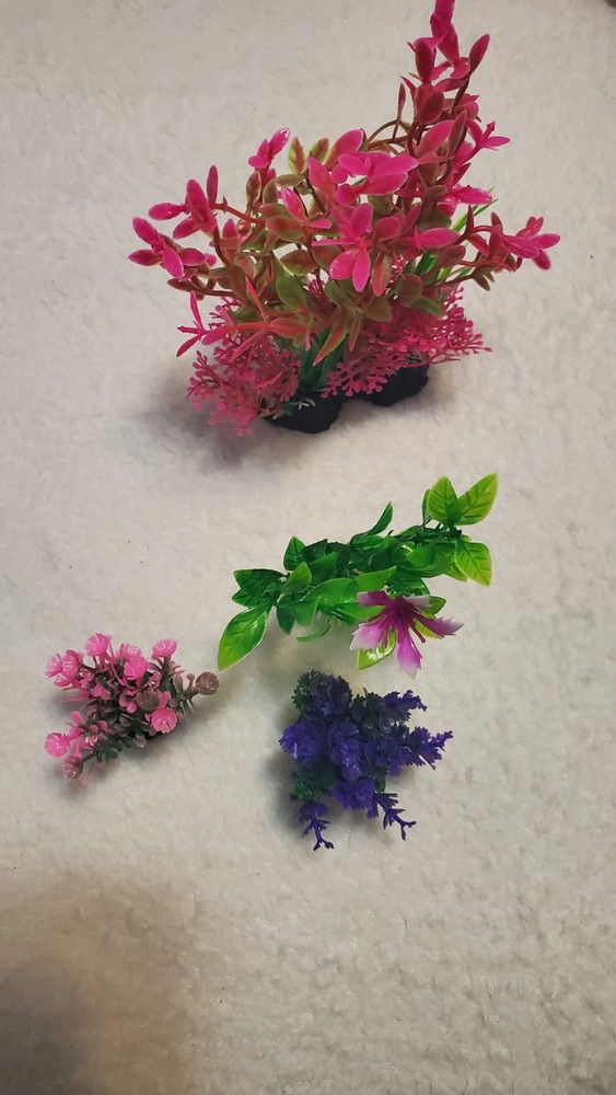 Decoracion Pecera
