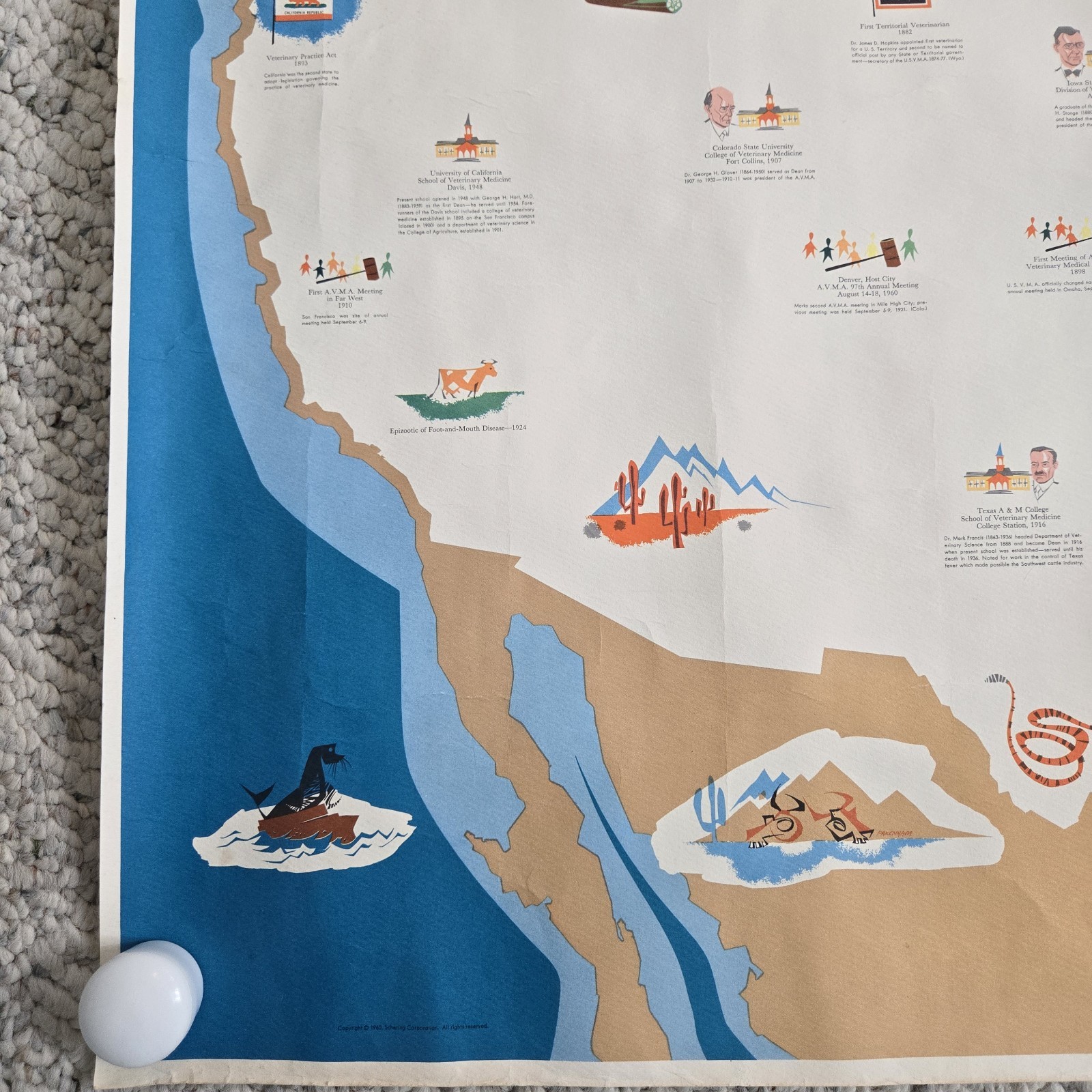 1960 Veterinary Medicine In America Poster History Map Unframed Vtg Vet Wall Art