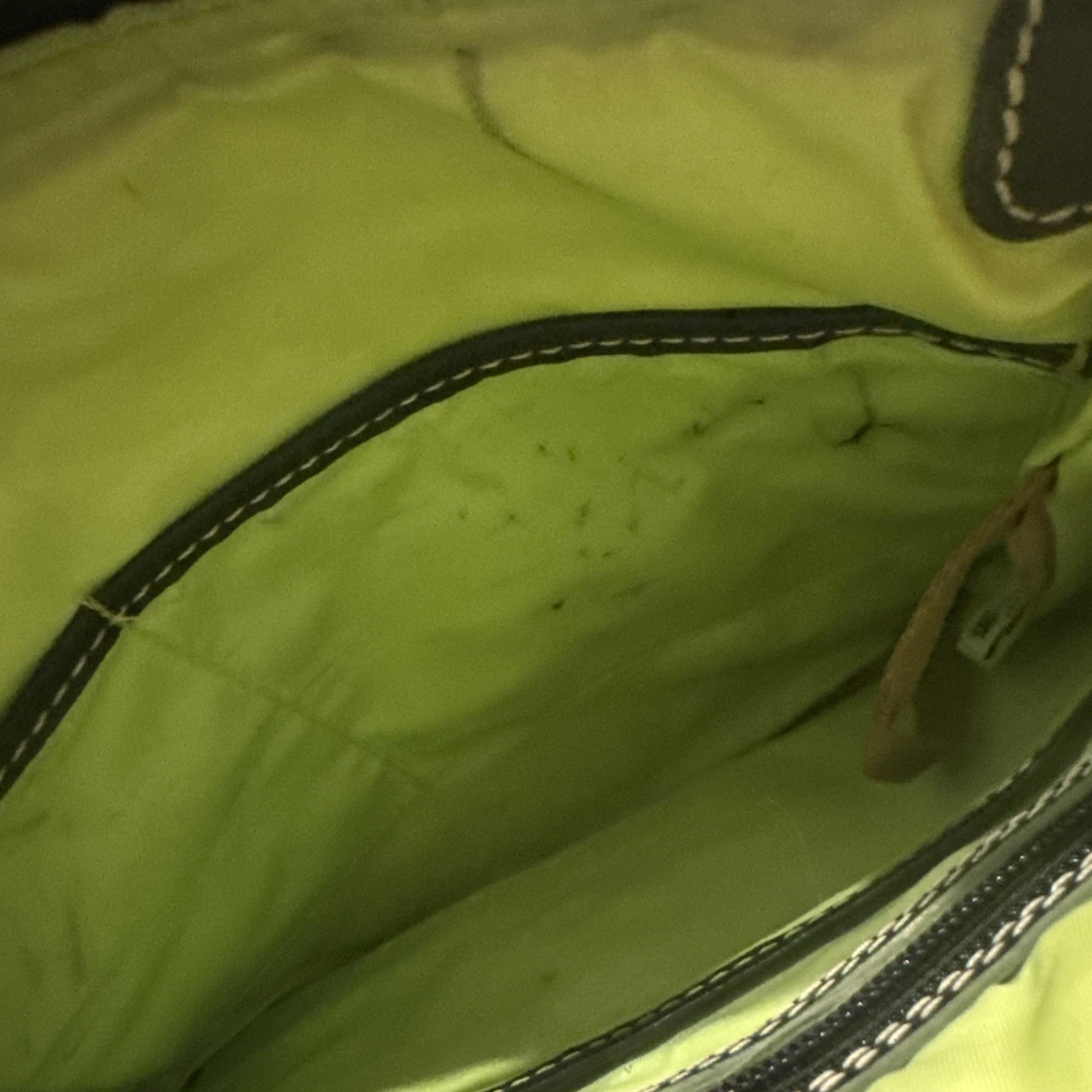 Dooney & Bourke Disney Haunted Mansion Portraits Crossbody Bag Purse *READ*