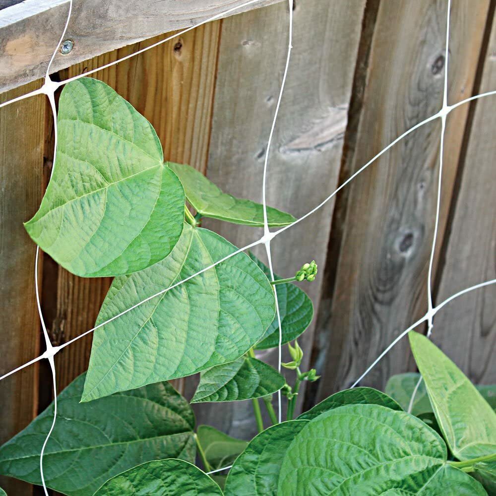 TRELLIS NETTING 4'x50' Plastic Plant Support Garden