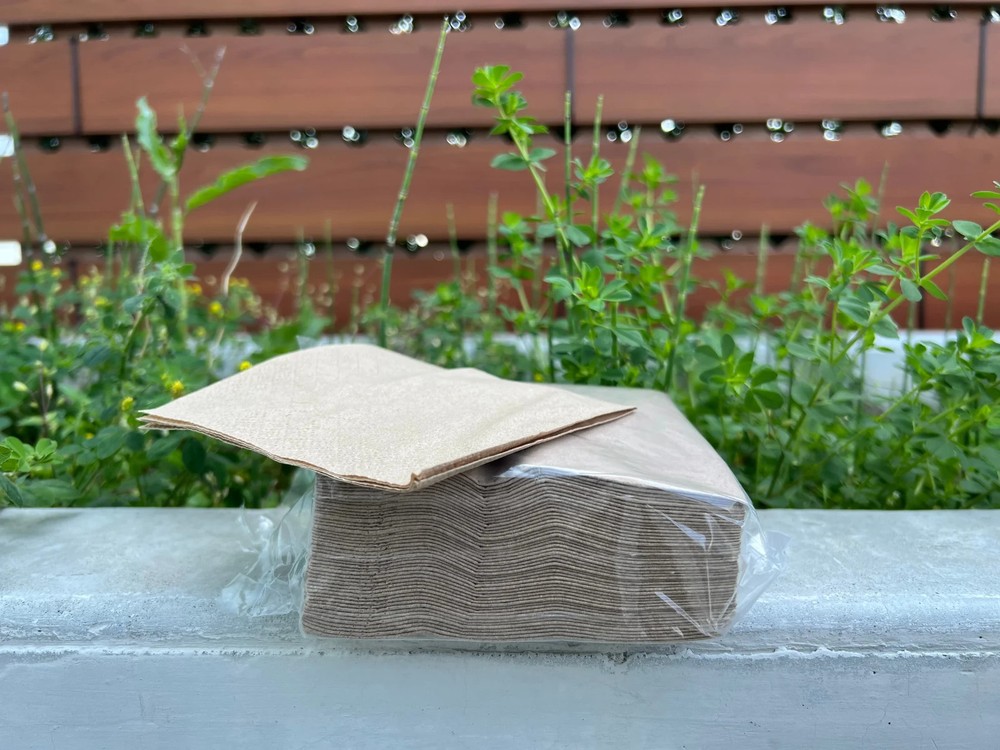 100% Compostable Tableware Set for 50 Guests (350 pcs)