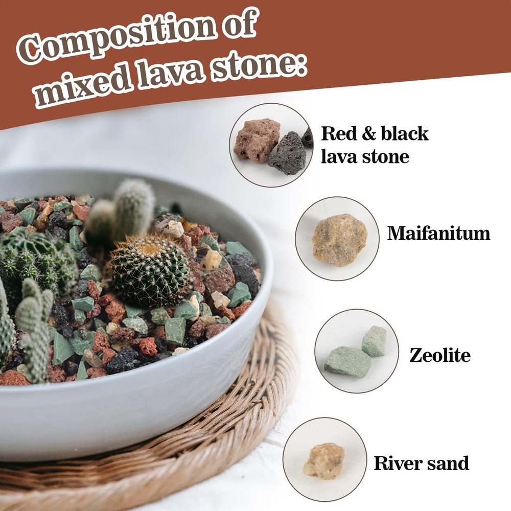 Sukh 2LBS Horticultural Succulent Rocks Bonsai Mix